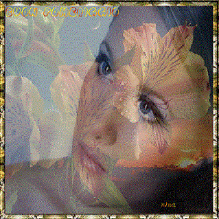 Mi aspetto un cielo senza nuvole