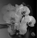 Sapere che anche nel buio ci sei