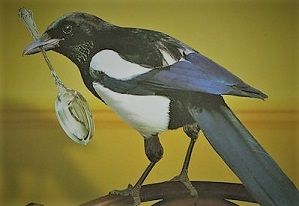 Un cicaleccio stanziale