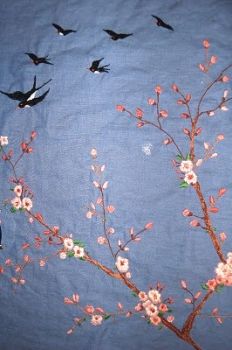 Le rondini sono piene di cielo