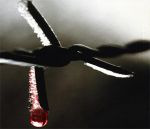 E sangue gocciola sul filo spinato dell'anima