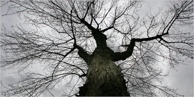 Piante carnivore le tue labbra