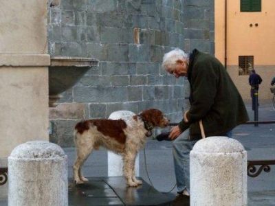 Non importa quanto lunga la strada  