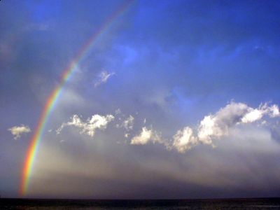 Una vita sudata in fondo alla tasca  