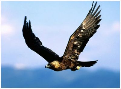 Vado, m'attende l'altrove  