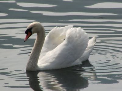 E le nuvole sono altrove  