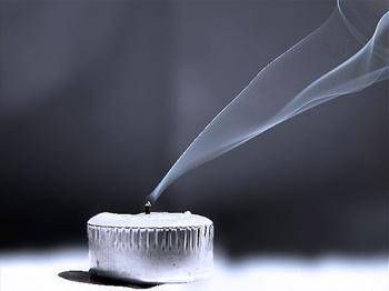 Anoressica (voce di dentro)