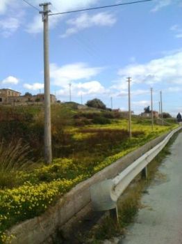 Traboccanti odori d'infinito  