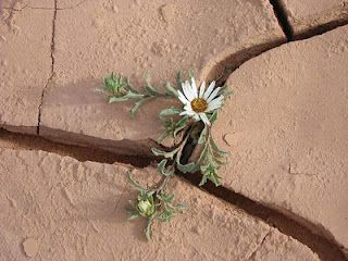 Tutta questa vita � gi� morte