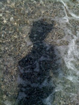 Sensazioni, impressioni