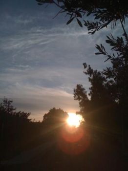 Luce che incide ombre