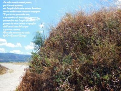 Se solo non t'avessi perso