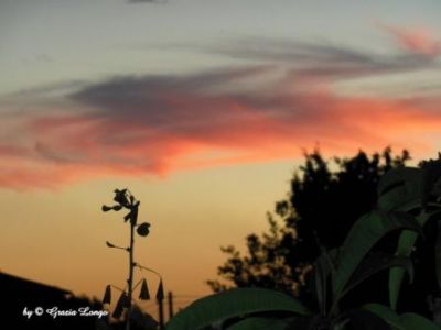 Donna ... diversamente femmina