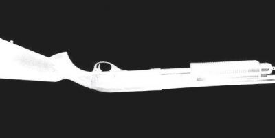 Il sorriso della bestia