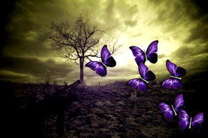 Fermi all'odor finto dell'eterno