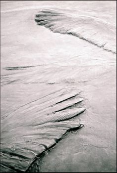 L'aria dell'ultima corda