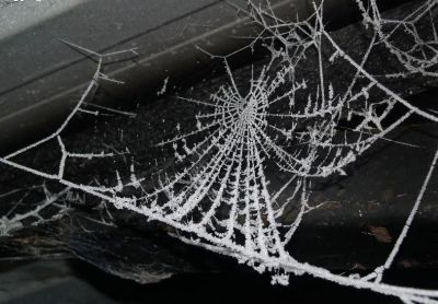 Le ragnatele della voce  