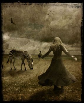 Le lacrime dei ghepardi  