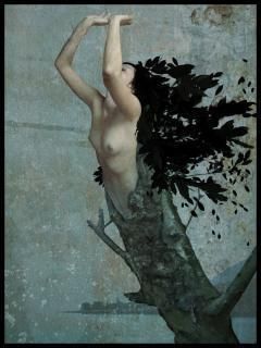 Non c'� posto nel tuo buio  