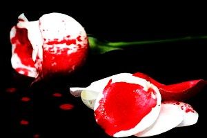 Le bugie del Minotauro  