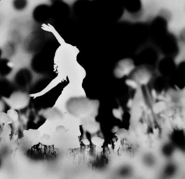 Il colore del purgatorio  