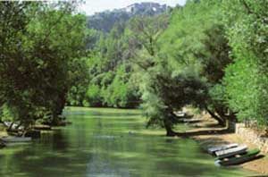 La tua impronta dentro me