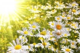 Infiniti raggi di luce  