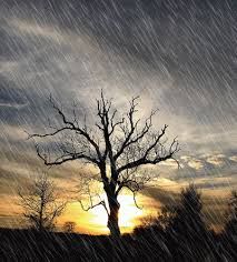 Pioggia di primavera