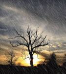 Pioggia di primavera