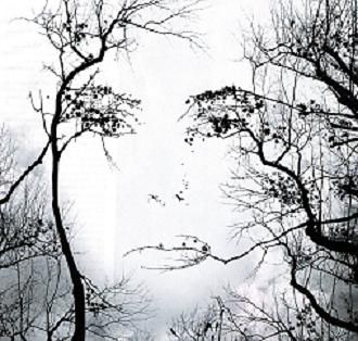 L'essenziale � invisibile  