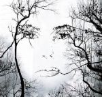 L'essenziale � invisibile  