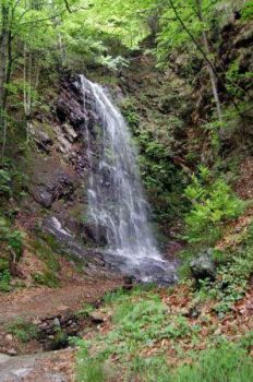 C'� sempre una prima volta