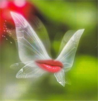 Verso il duemiladodici  