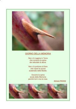 Giorno della Memoria  