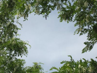 Percorsi associativi