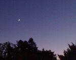 Falce di Luna nascente  