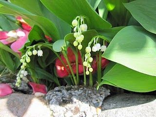 Nel giardino segreto  