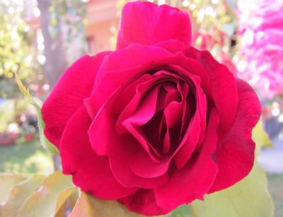 Chiedi l'impossibile!  