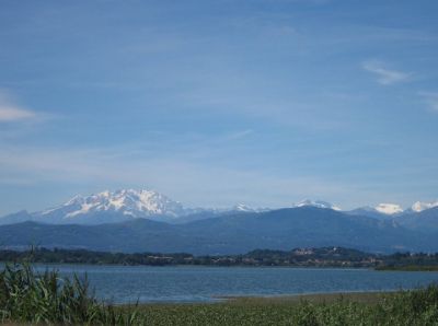 La notte delle stelle  