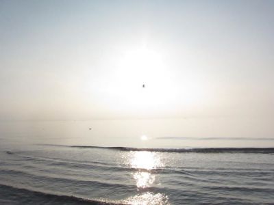 C'� bisogno d'amore