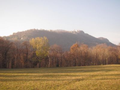 Cerco la parola perfetta  