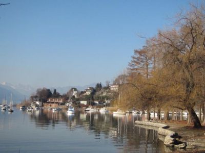 La bellezza dell'Arte  