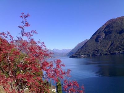 Sul sentiero degli ulivi  