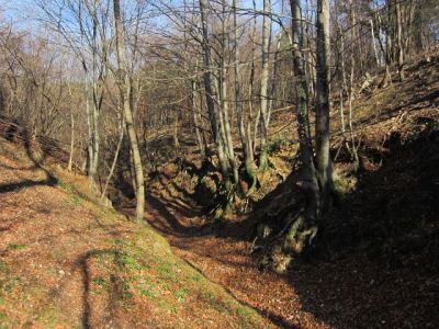 In attesa di primavera