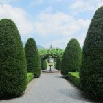 Nel giardino segreto