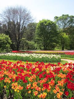 Il dono della poesia