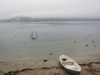 Perch� proprio a me?