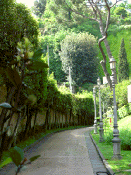 Dint' 'o viale alberato