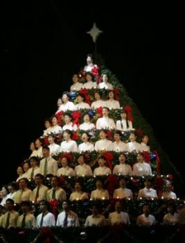 Quel d� d'amore e fratellanza