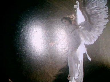 Era bello morire a Natale